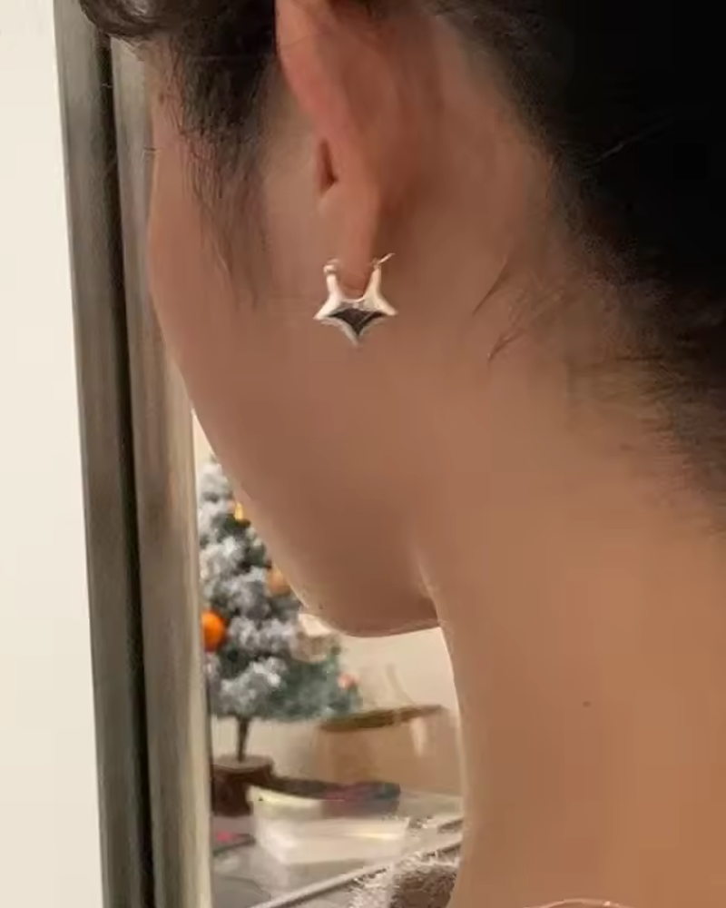 Stainless Steel Star Earrings