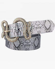 Belt With Snake